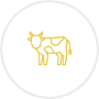Livestock finance