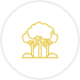 Forestry finance