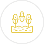Land Finance